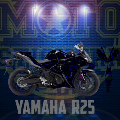 R25 STİCKER SET (2014-2018)