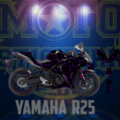 R25 STİCKER SET (2014-2018)