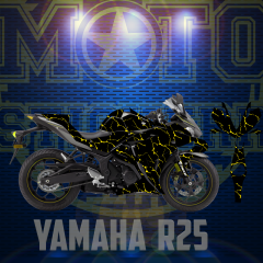 R25 STİCKER SET (2014-2018)