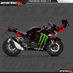 RKS R250 STİCKER SET