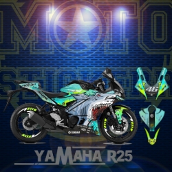 R25 STİCKER SET (2019-2024) resmi