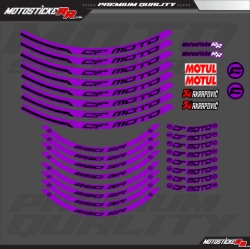 250SR JANT ŞERİDİ resmi